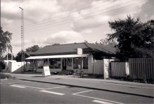 18: Klokkeblomsten Solrød Strandvej 165